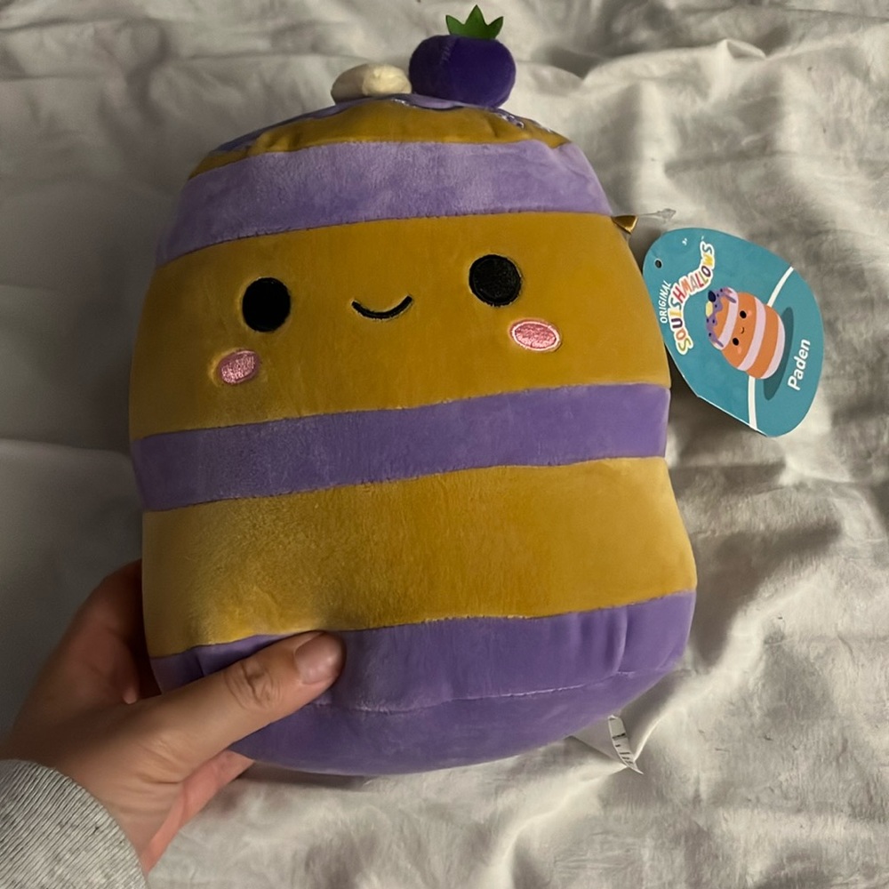NWT pastry squishmallow